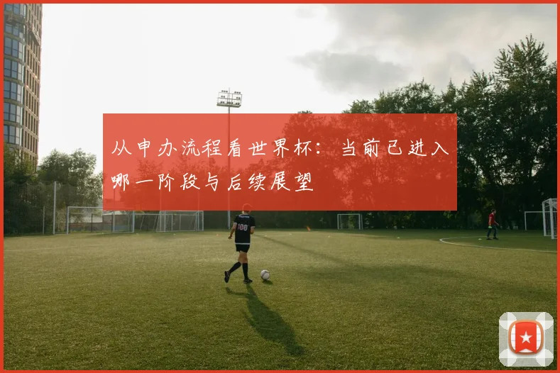 从申办流程看世界杯：当前已进入哪一阶段与后续展望
