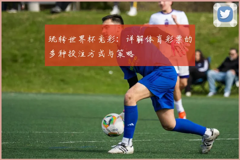 玩转世界杯竞彩:详解体育彩票的多种投注方式与策略