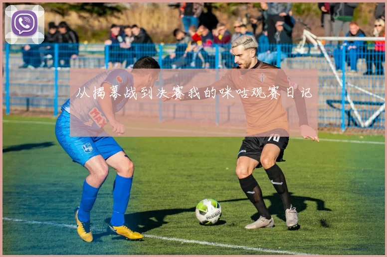 从揭幕战到决赛我的咪咕观赛日记
