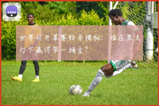 世界杯开幕赛赔率揭秘：谁在聚光灯下赢得第一桶金？