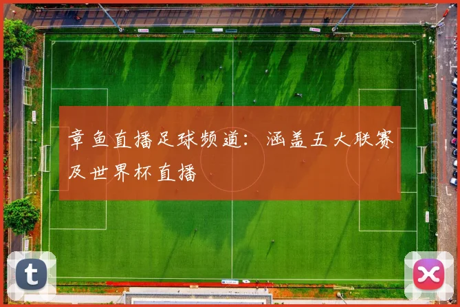 章鱼直播足球频道：涵盖五大联赛及世界杯直播