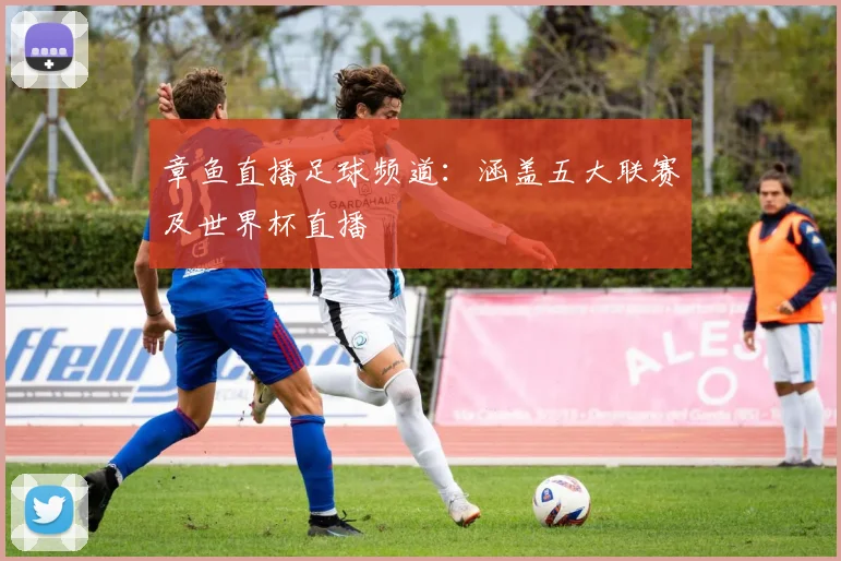 章鱼直播足球频道：涵盖五大联赛及世界杯直播