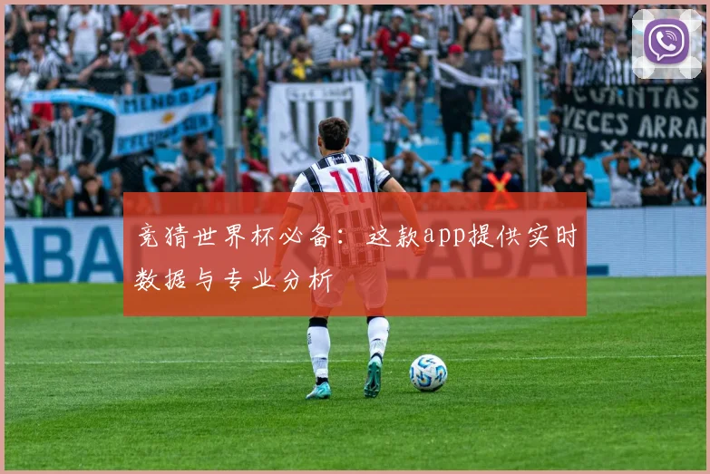 竞猜世界杯必备：这款app提供实时数据与专业分析