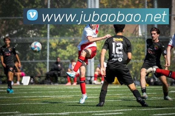 开云app网页登录入口APP 封面图